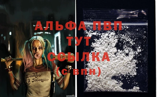 круглые Вяземский
