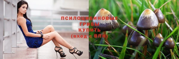 дживик Строитель