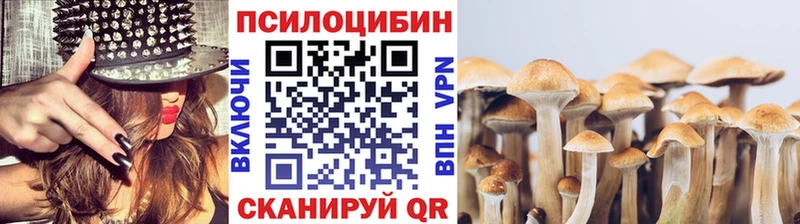 Псилоцибиновые грибы мицелий  Далматово 